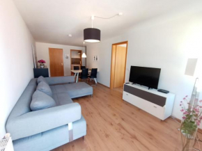 BodenSEE City Apartment Friedrichshafen Kleinebergstrasse